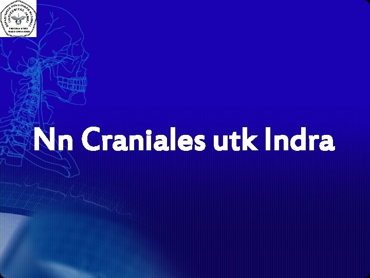 Nn Craniales utk Indra 