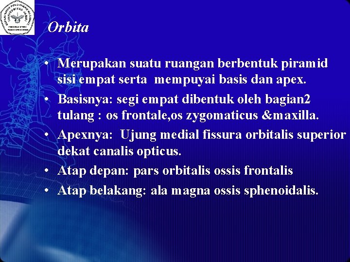 Orbita • Merupakan suatu ruangan berbentuk piramid sisi empat serta mempuyai basis dan apex.