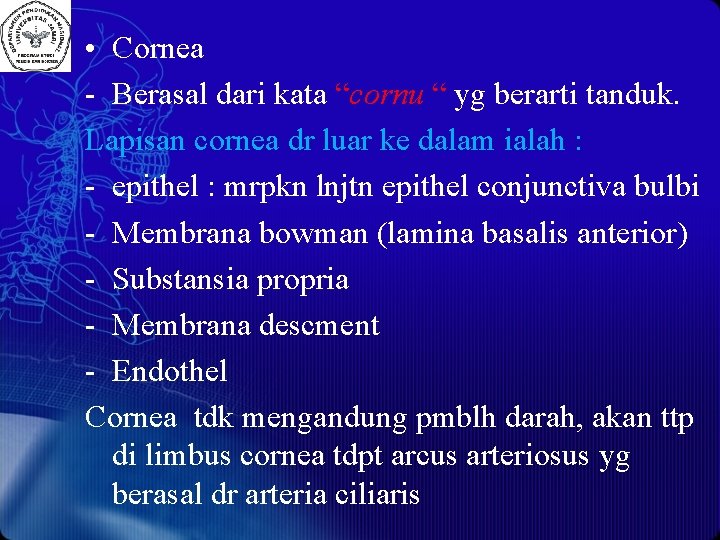  • Cornea - Berasal dari kata “cornu “ yg berarti tanduk. Lapisan cornea