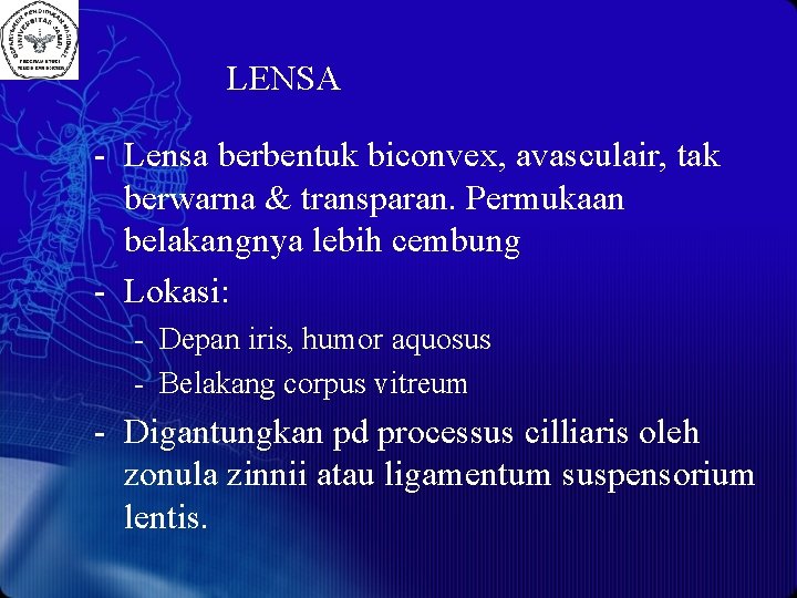 LENSA - Lensa berbentuk biconvex, avasculair, tak berwarna & transparan. Permukaan belakangnya lebih cembung