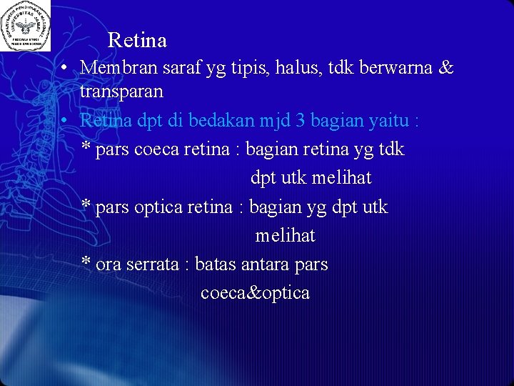 Retina • Membran saraf yg tipis, halus, tdk berwarna & transparan • Retina dpt