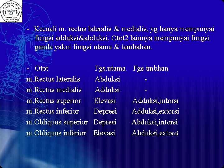 - Kecuali m. rectus lateralis & medialis, yg hanya mempunyai fungsi adduksi&abduksi. Otot 2