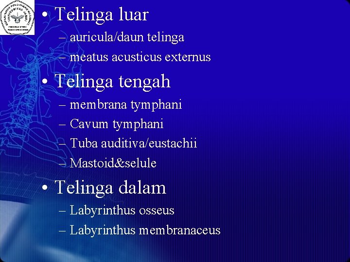  • Telinga luar – auricula/daun telinga – meatus acusticus externus • Telinga tengah