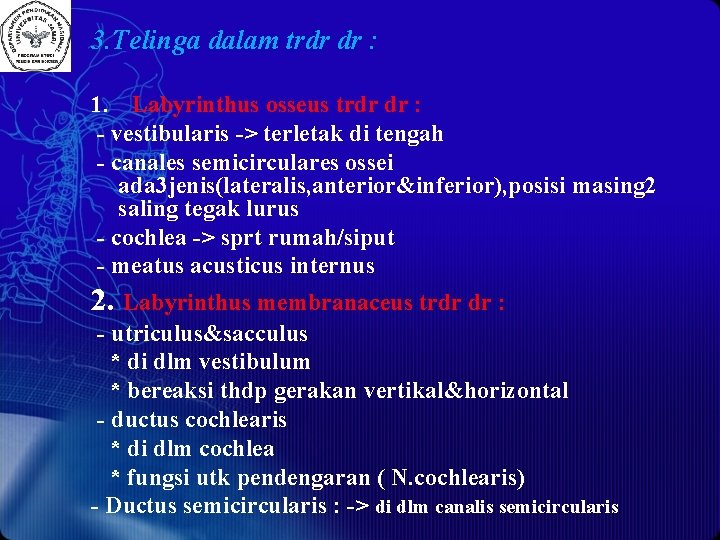 3. Telinga dalam trdr dr : 1. Labyrinthus osseus trdr dr : - vestibularis