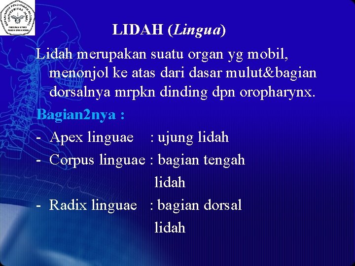 LIDAH (Lingua) Lidah merupakan suatu organ yg mobil, menonjol ke atas dari dasar mulut&bagian