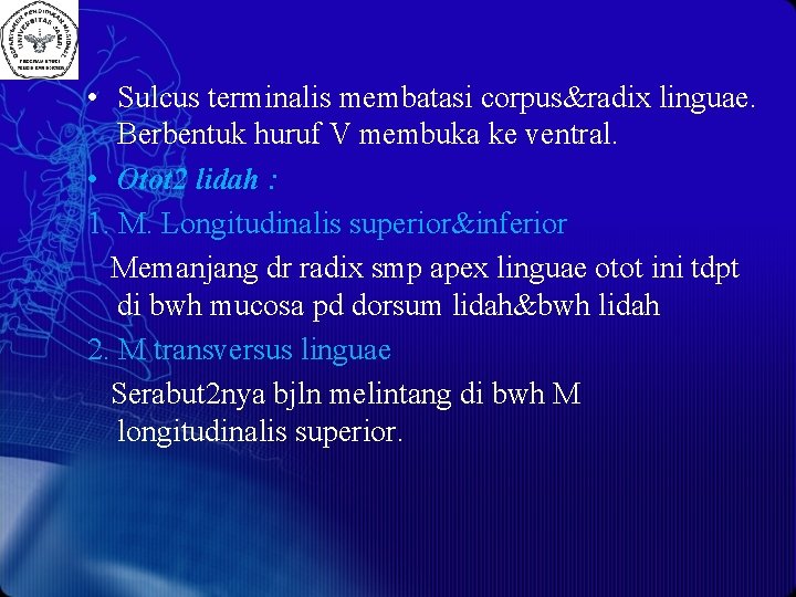  • Sulcus terminalis membatasi corpus&radix linguae. Berbentuk huruf V membuka ke ventral. •