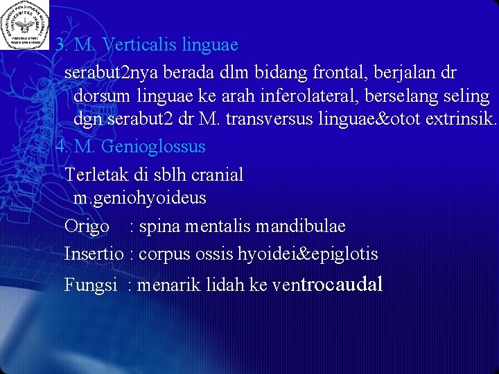 3. M. Verticalis linguae serabut 2 nya berada dlm bidang frontal, berjalan dr dorsum