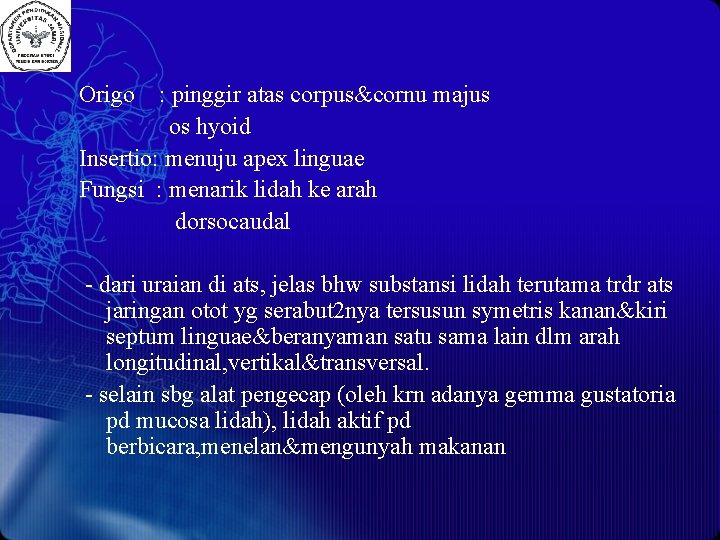 Origo : pinggir atas corpus&cornu majus os hyoid Insertio: menuju apex linguae Fungsi :