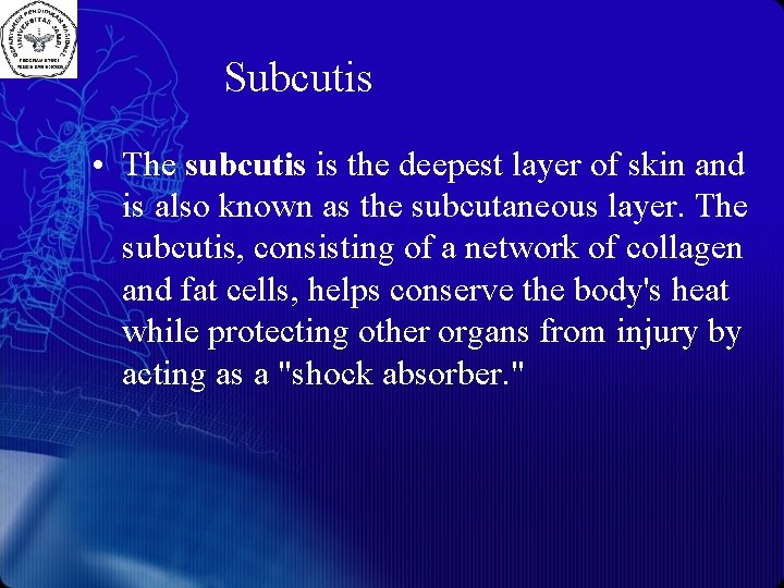 Subcutis • The subcutis is the deepest layer of skin and is also known
