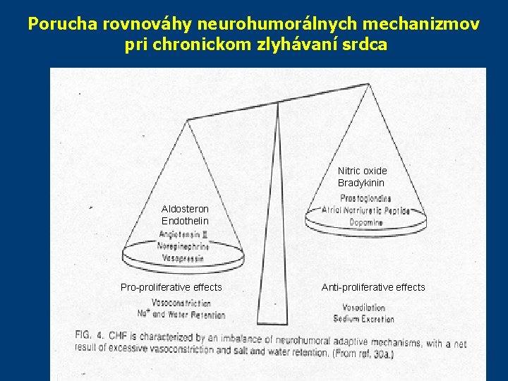Porucha rovnováhy neurohumorálnych mechanizmov pri chronickom zlyhávaní srdca Nitric oxide Bradykinin Aldosteron Endothelin Pro-proliferative Porucha rovnováhy neurohumorálnych mechanizmov pri chronickom zlyhávaní srdca Nitric oxide Bradykinin Aldosteron Endothelin Pro-proliferative