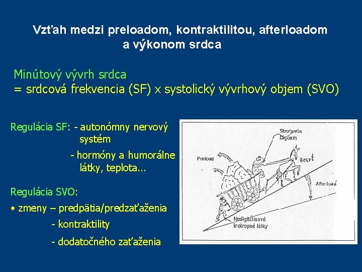 Vzťah medzi preloadom, kontraktilitou, afterloadom a výkonom srdca Minútový vývrh srdca = srdcová frekvencia Vzťah medzi preloadom, kontraktilitou, afterloadom a výkonom srdca Minútový vývrh srdca = srdcová frekvencia