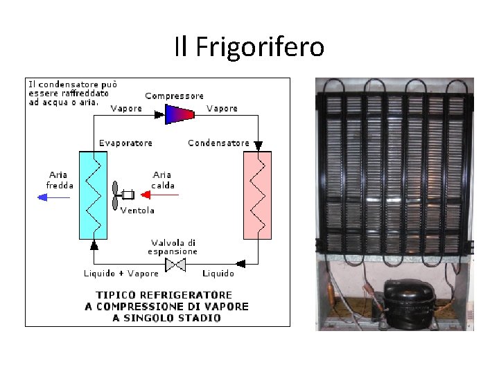 Il Frigorifero 