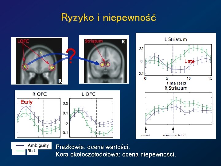 Ryzyko i niepewność ? Early Prążkowie: ocena wartości. Kora okołoczołodołowa: ocena niepewności. Late 