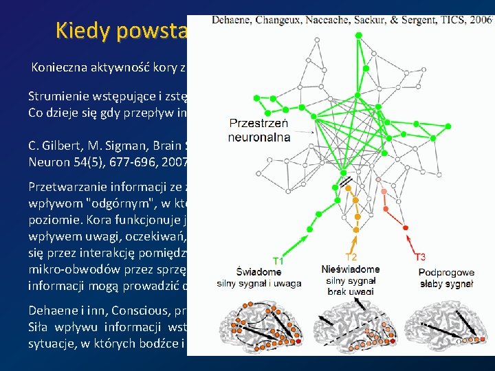 Kiedy powstają świadome wrażenia? Konieczna aktywność kory zmysłowej, np. V 4=kolor, MT/V 5=ruch. Strumienie