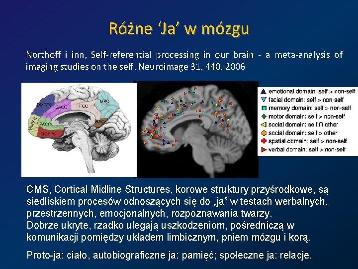 Różne ‘Ja’ w mózgu Northoff i inn, Self-referential processing in our brain - a