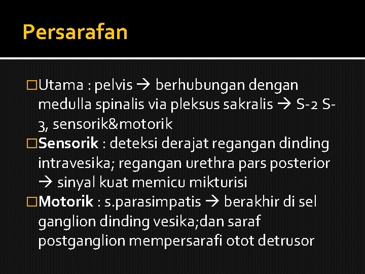 Persarafan �Utama : pelvis berhubungan dengan medulla spinalis via pleksus sakralis S-2 S 3,