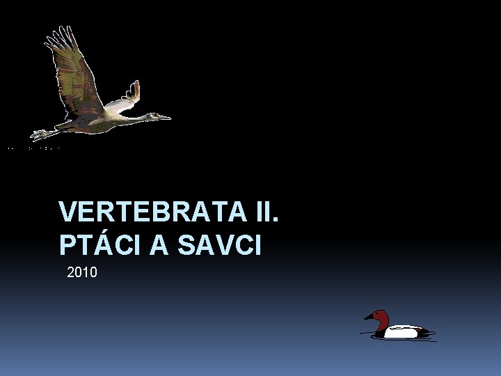 VERTEBRATA II. PTÁCI A SAVCI 2010 