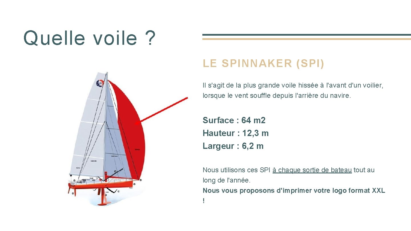 Quelle voile ? LE SPINNAKER (SPI) Il s'agit de la plus grande voile hissée