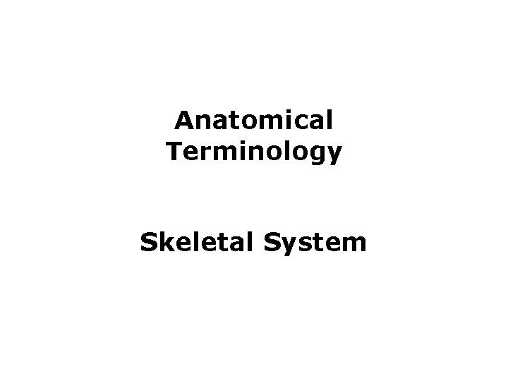 Anatomical Terminology Skeletal System 
