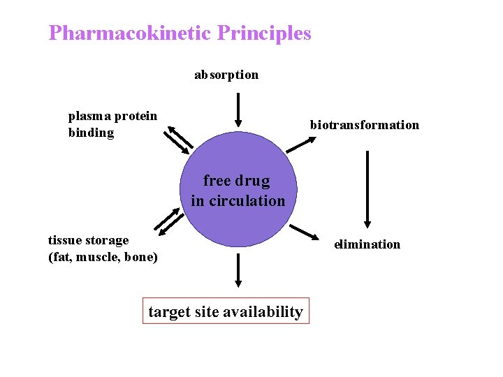 Pharmacokinetic Principles absorption plasma protein binding biotransformation free drug in circulation tissue storage (fat,