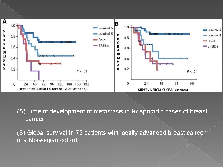 (A) Time of development of metastasis in 97 sporadic cases of breast cancer. (B)