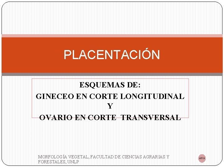 PLACENTACIÓN ESQUEMAS DE: GINECEO EN CORTE LONGITUDINAL Y OVARIO EN CORTE TRANSVERSAL MORFOLOGÍA VEGETAL,