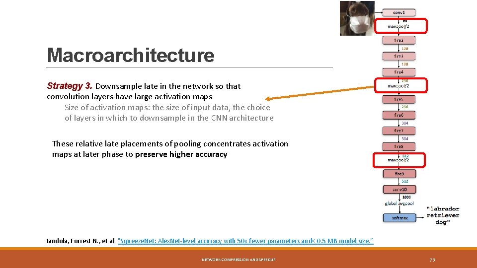 Macroarchitecture Strategy 3. Downsample late in the network so that convolution layers have large