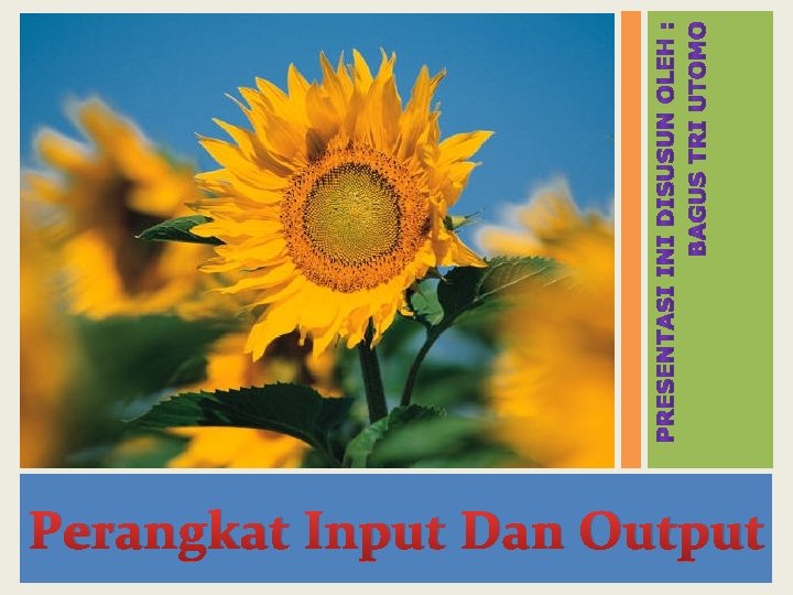 Perangkat Input Dan Output 