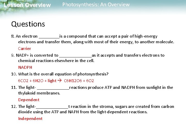 Lesson Overview Photosynthesis: An Overview Questions 8. An electron _____is a compound that can