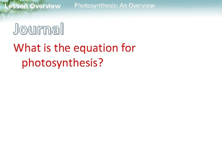 Lesson Overview Photosynthesis: An Overview Journal What is the equation for photosynthesis? 