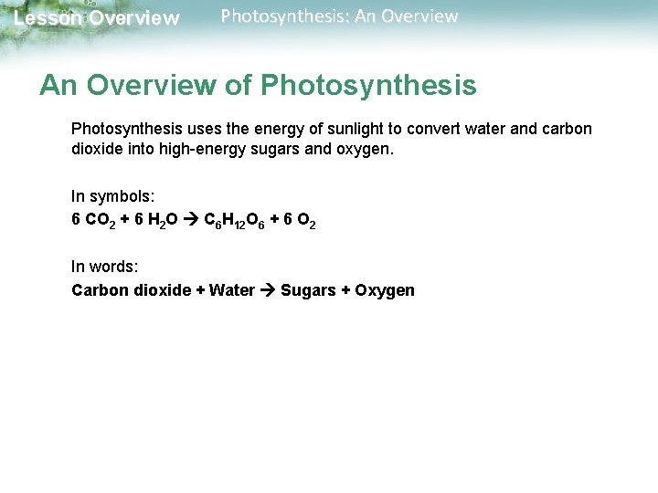 Lesson Overview Photosynthesis: An Overview of Photosynthesis uses the energy of sunlight to convert