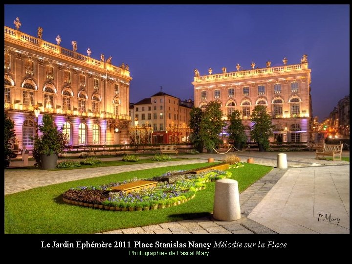 Le Jardin Ephémère 2011 Place Stanislas Nancy Mélodie sur la Place Photographies de Pascal