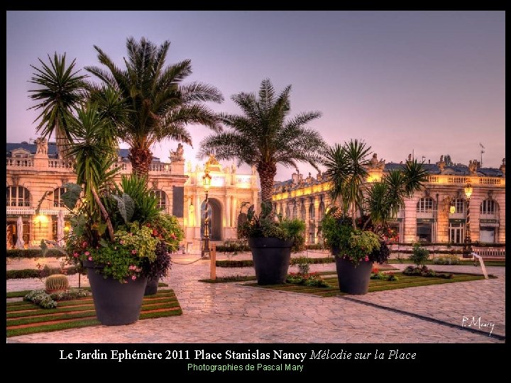 Le Jardin Ephémère 2011 Place Stanislas Nancy Mélodie sur la Place Photographies de Pascal