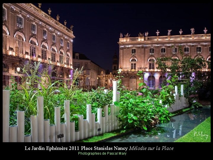 Le Jardin Ephémère 2011 Place Stanislas Nancy Mélodie sur la Place Photographies de Pascal