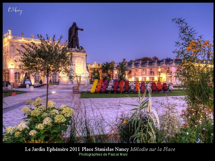 Le Jardin Ephémère 2011 Place Stanislas Nancy Mélodie sur la Place Photographies de Pascal