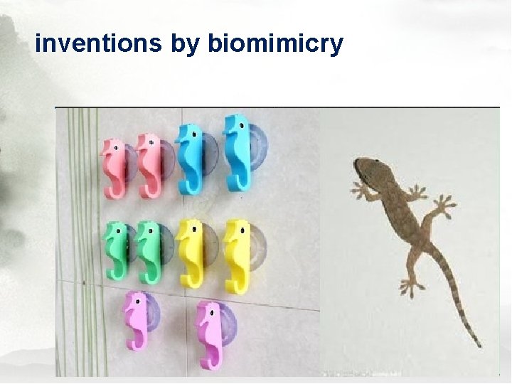 inventions by biomimicry 