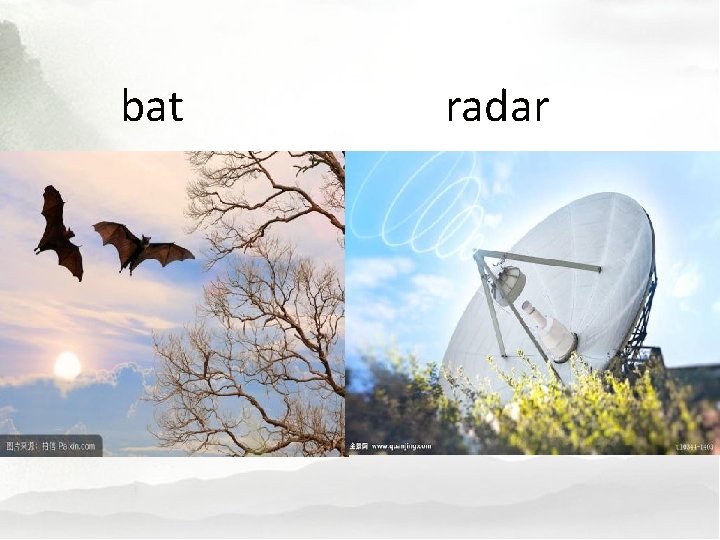 bat radar 