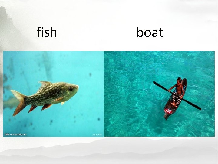 fish boat 