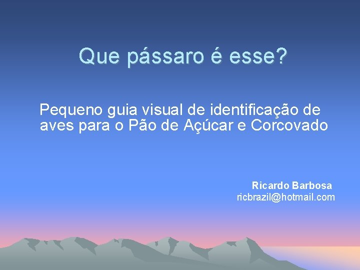 Que pássaro é esse? Pequeno guia visual de identificação de aves para o Pão