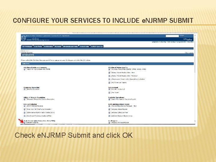 CONFIGURE YOUR SERVICES TO INCLUDE e. NJRMP SUBMIT Check e. NJRMP Submit and click