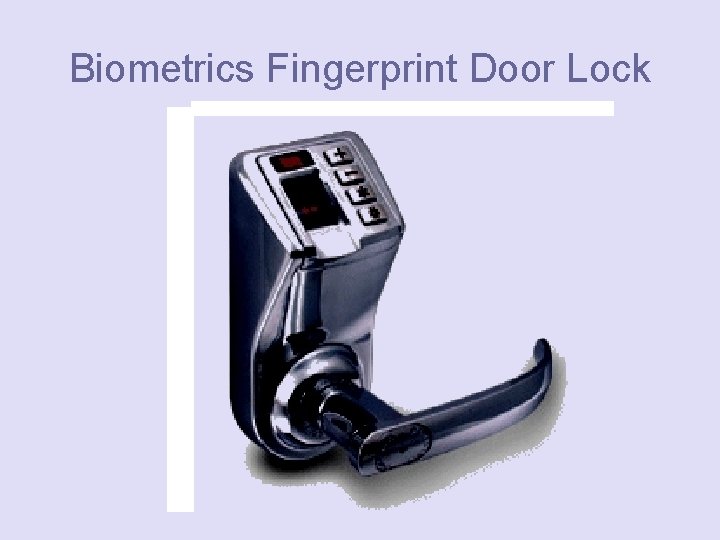 Biometrics Fingerprint Door Lock 