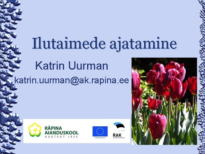 Ilutaimede ajatamine Katrin Uurman katrin. uurman@ak. rapina. ee 1 