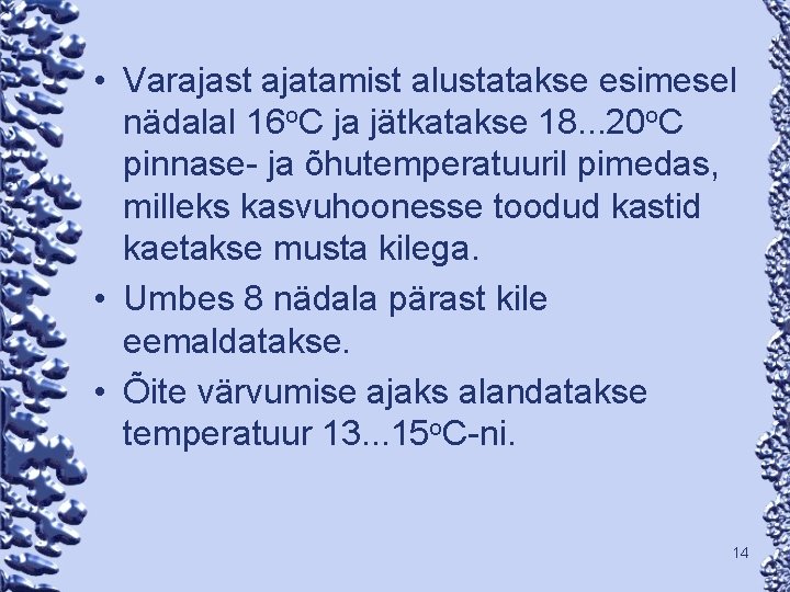  • Varajast ajatamist alustatakse esimesel nädalal 16 o. C ja jätkatakse 18. .