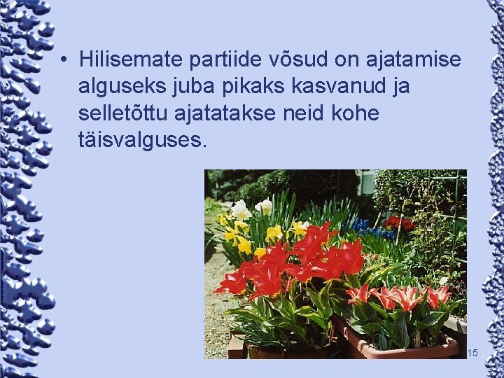  • Hilisemate partiide võsud on ajatamise alguseks juba pikaks kasvanud ja selletõttu ajatatakse