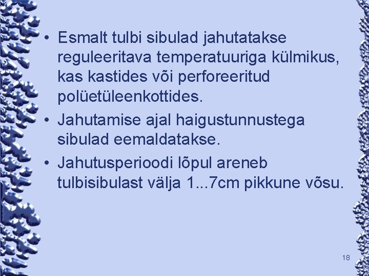  • Esmalt tulbi sibulad jahutatakse reguleeritava temperatuuriga külmikus, kastides või perforeeritud polüetüleenkottides. •