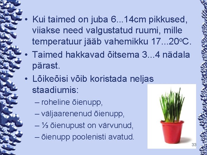  • Kui taimed on juba 6. . . 14 cm pikkused, viiakse need