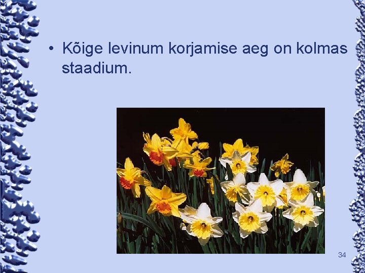  • Kõige levinum korjamise aeg on kolmas staadium. 34 