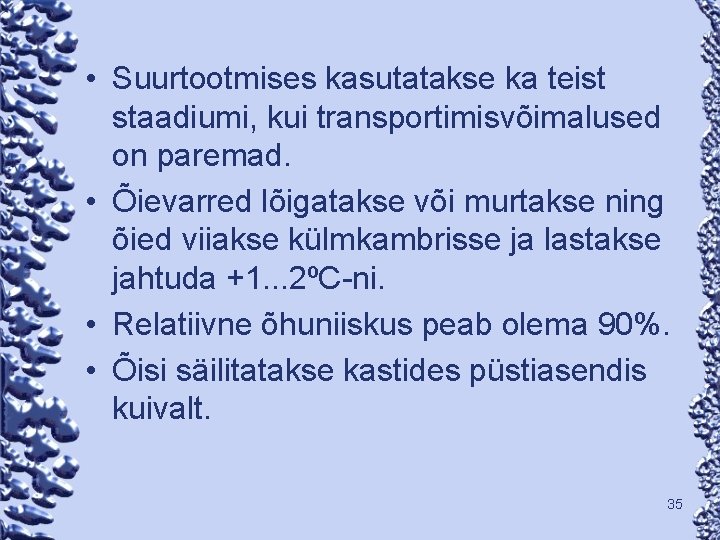  • Suurtootmises kasutatakse ka teist staadiumi, kui transportimisvõimalused on paremad. • Õievarred lõigatakse