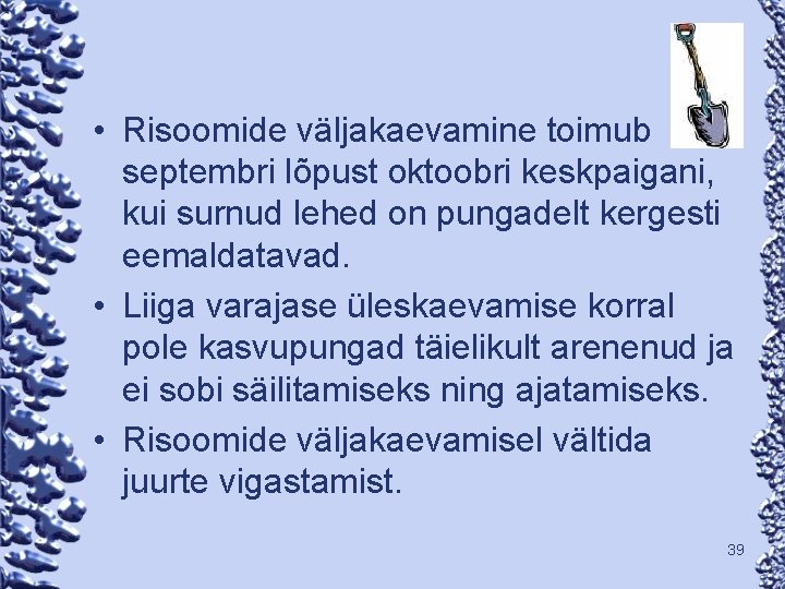  • Risoomide väljakaevamine toimub septembri lõpust oktoobri keskpaigani, kui surnud lehed on pungadelt