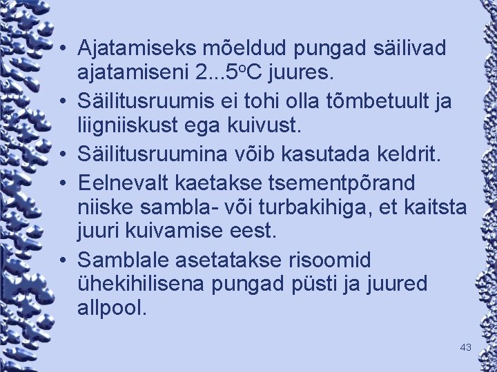  • Ajatamiseks mõeldud pungad säilivad ajatamiseni 2. . . 5 o. C juures.